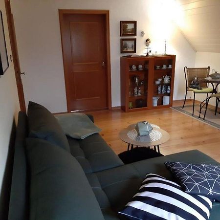 Ferienwohnung Schaeffer 레겐스부르크 외부 사진