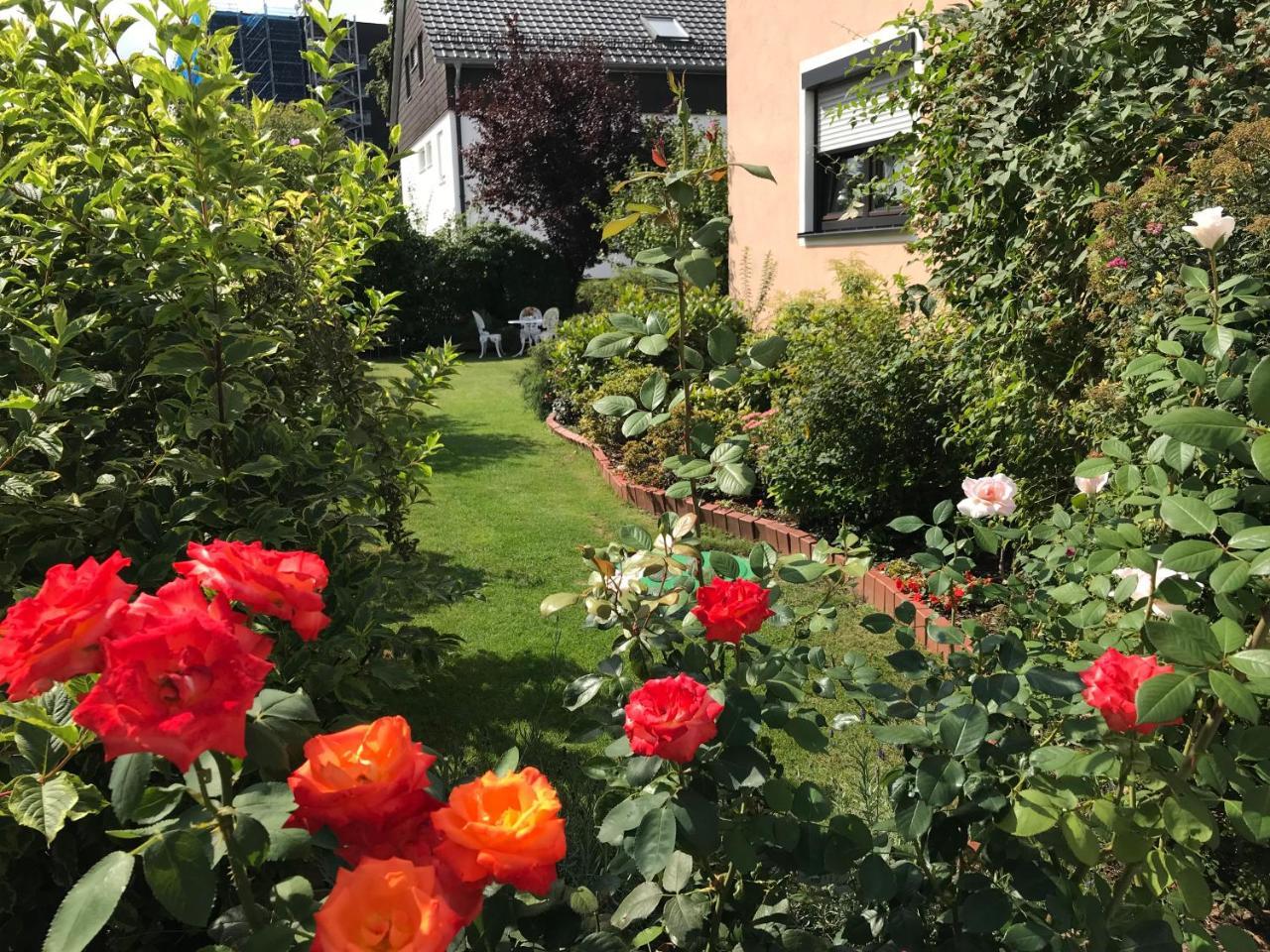 Ferienwohnung Schaeffer 레겐스부르크 외부 사진